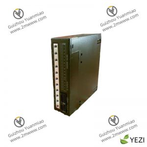 GE SM128V Process Branches for Internal Factory Systems
